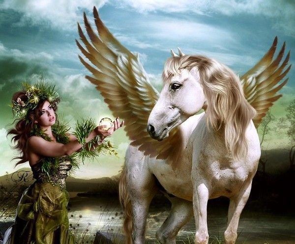 FEE ET LICORNE